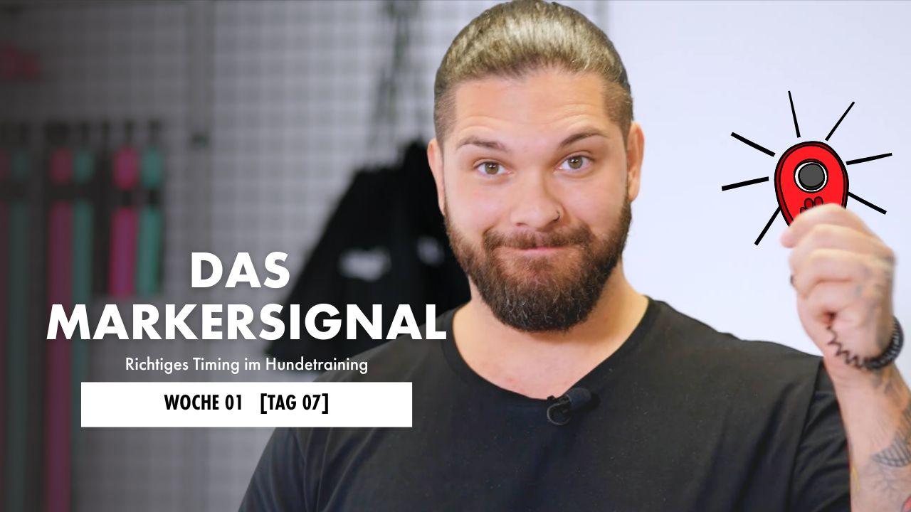 Markersignal beim Hund mit Vitomalia