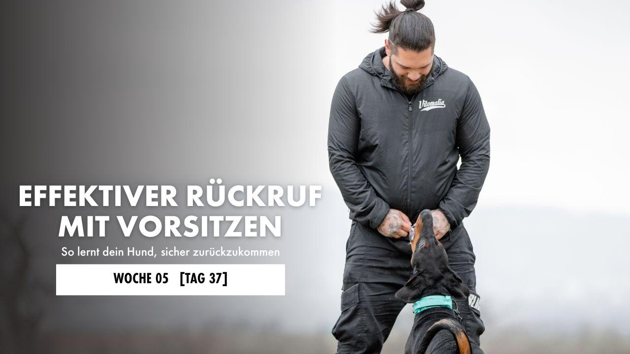Dobermann sitzt vor Hundeführer im Vorsitz