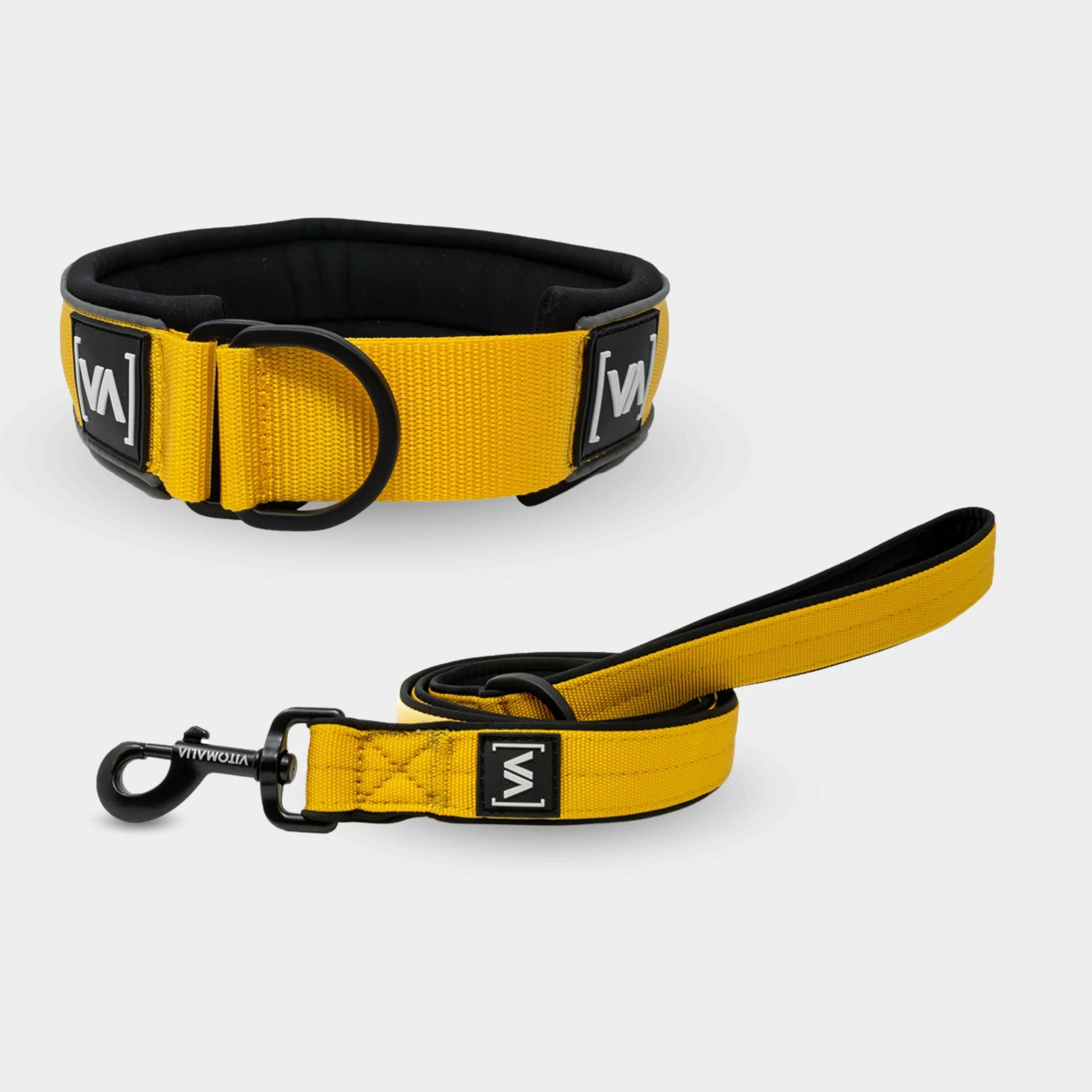 Bundle Easy Go Edition Yellow Set - Pull Stop Collar + 1.2m Leash