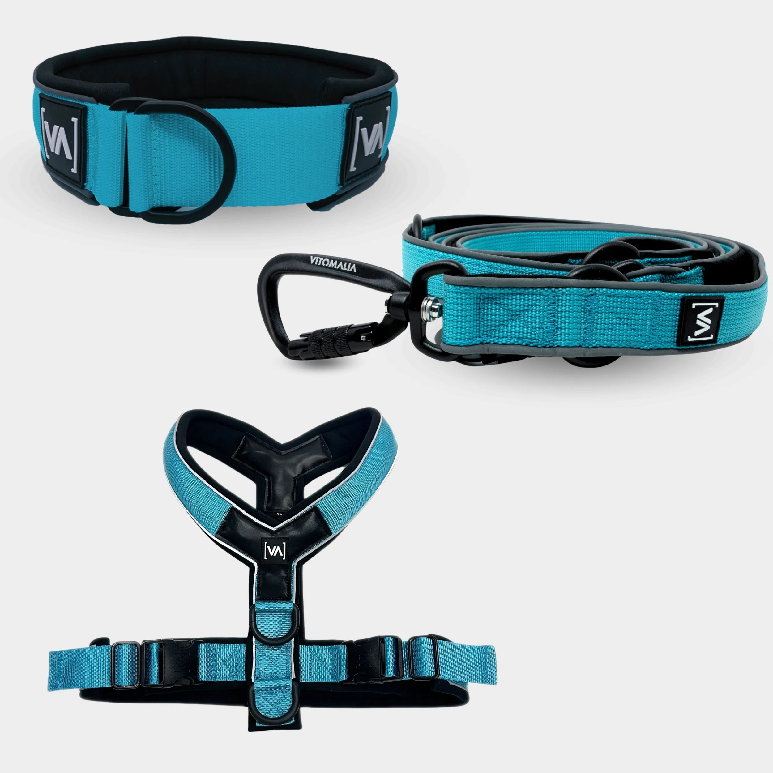 Bundle Easy Go Edition Türkis Set - Zugstopphalsband + Y-Geschirr + 2,2m verstellbare Hundeleine