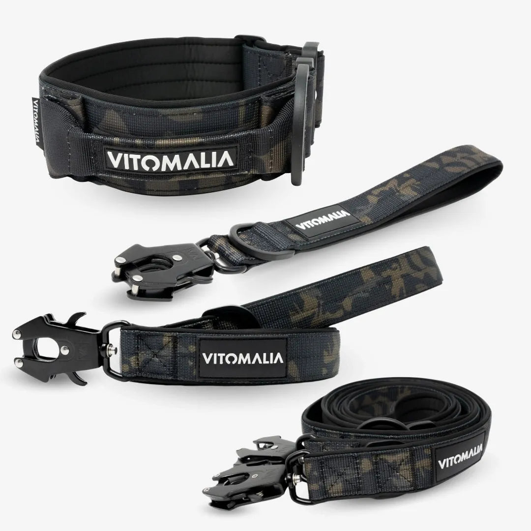 Set completo Bundle Extreme Edition - Collar y 3 Correas - Camuflaje