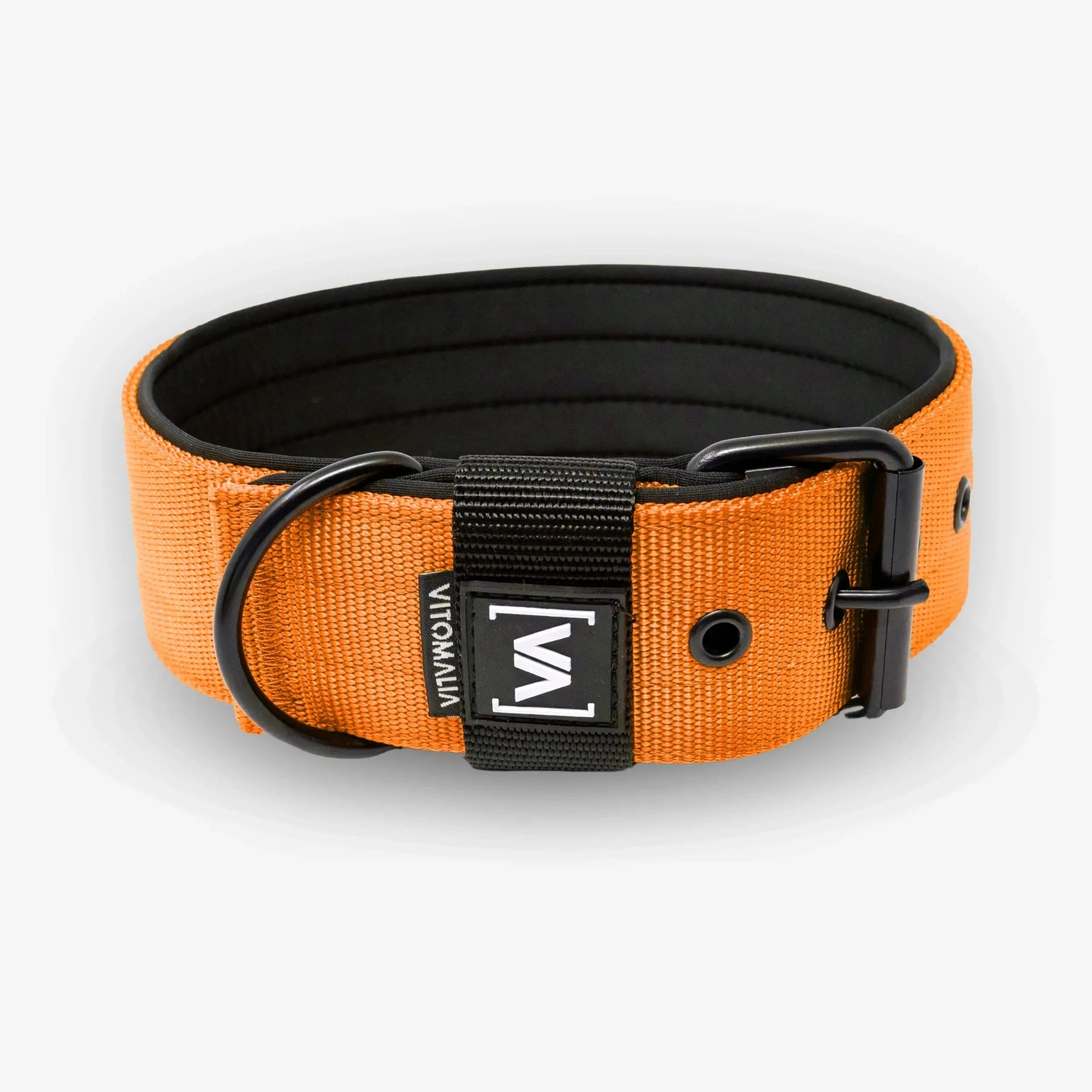 Bundle Classic Nero Edition Orange Set - Collare + Guinzaglio per cane triplo regolabile da 2,2 m Guinzaglio per cane