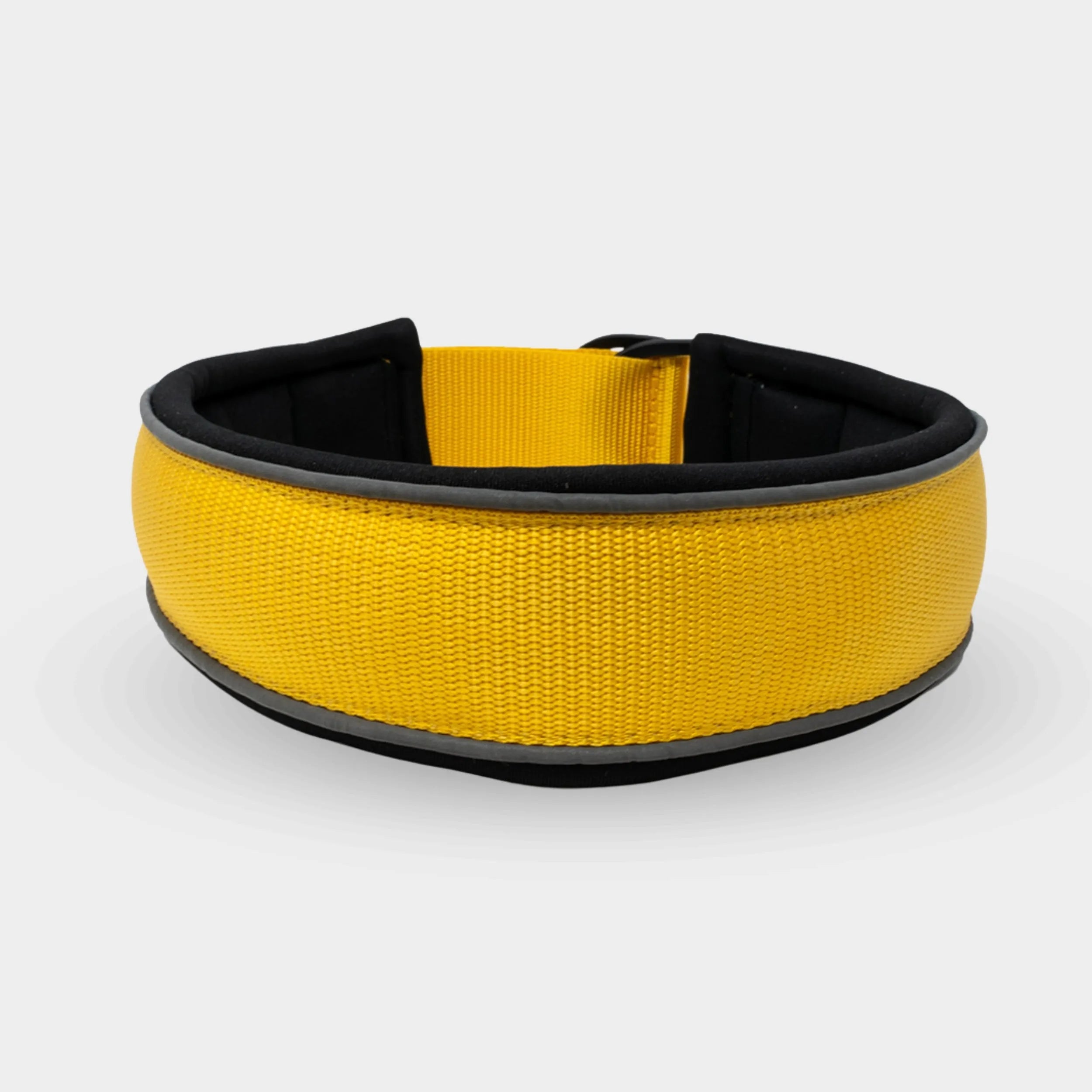 Collare per cani leggero a strappo con funzione anti-collasso Giallo