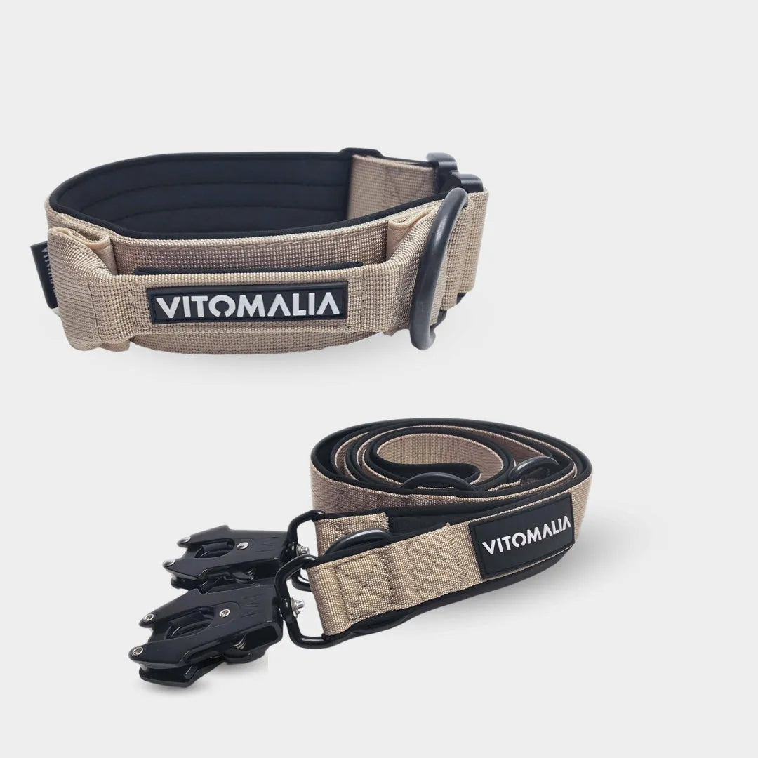 Bundle Extrem Edition Beige Set - Halsband + 2,2m dreifach verstellbar Hundeleine
