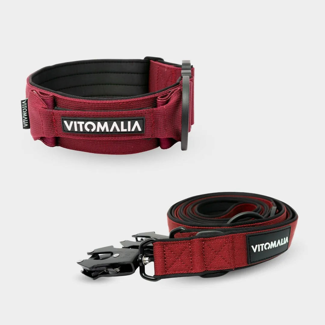 Bundle Extrem Edition Bordeaux Set - Collier + 2,2m triple Laisse pour chien réglable Laisse pour chien