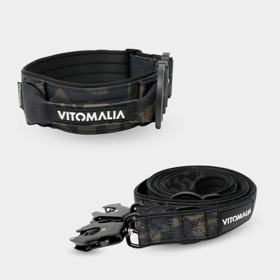 Bundle Extreme Edition Camouflage Set - Halsband + 2,2m dreifach verstellbar Hundeleine