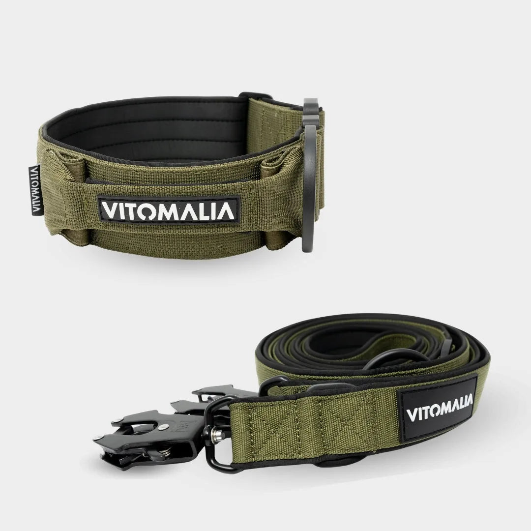 Bundle Extreme Edition Khaki Set - Halsband + 2,2m dreifach verstellbar Hundeleine