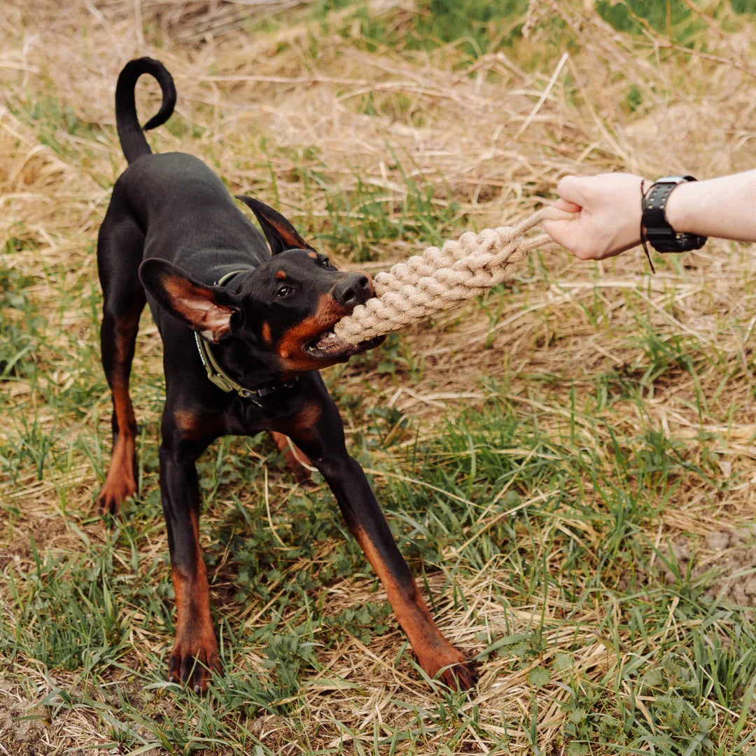 Geflochtener Zerr-Ring für Hunde: 100% Naturhanf, handgeknotet - Eco Tug - Vitomalia -