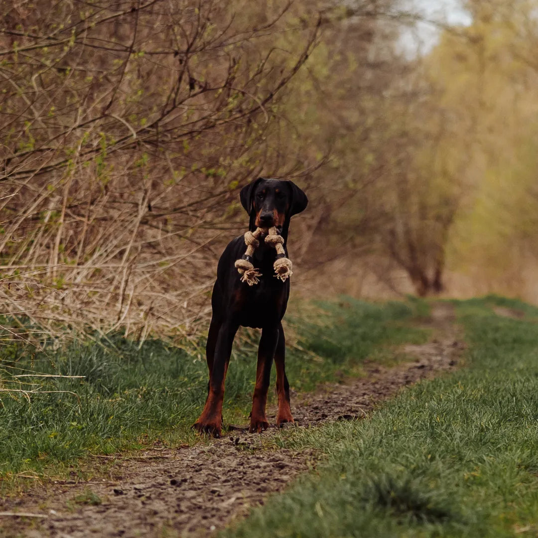 Geflochtenes Mehrknoten-Zerr-Seil für Hunde: 100% Naturhanf, handgeknotet - Eco Tug - Vitomalia -