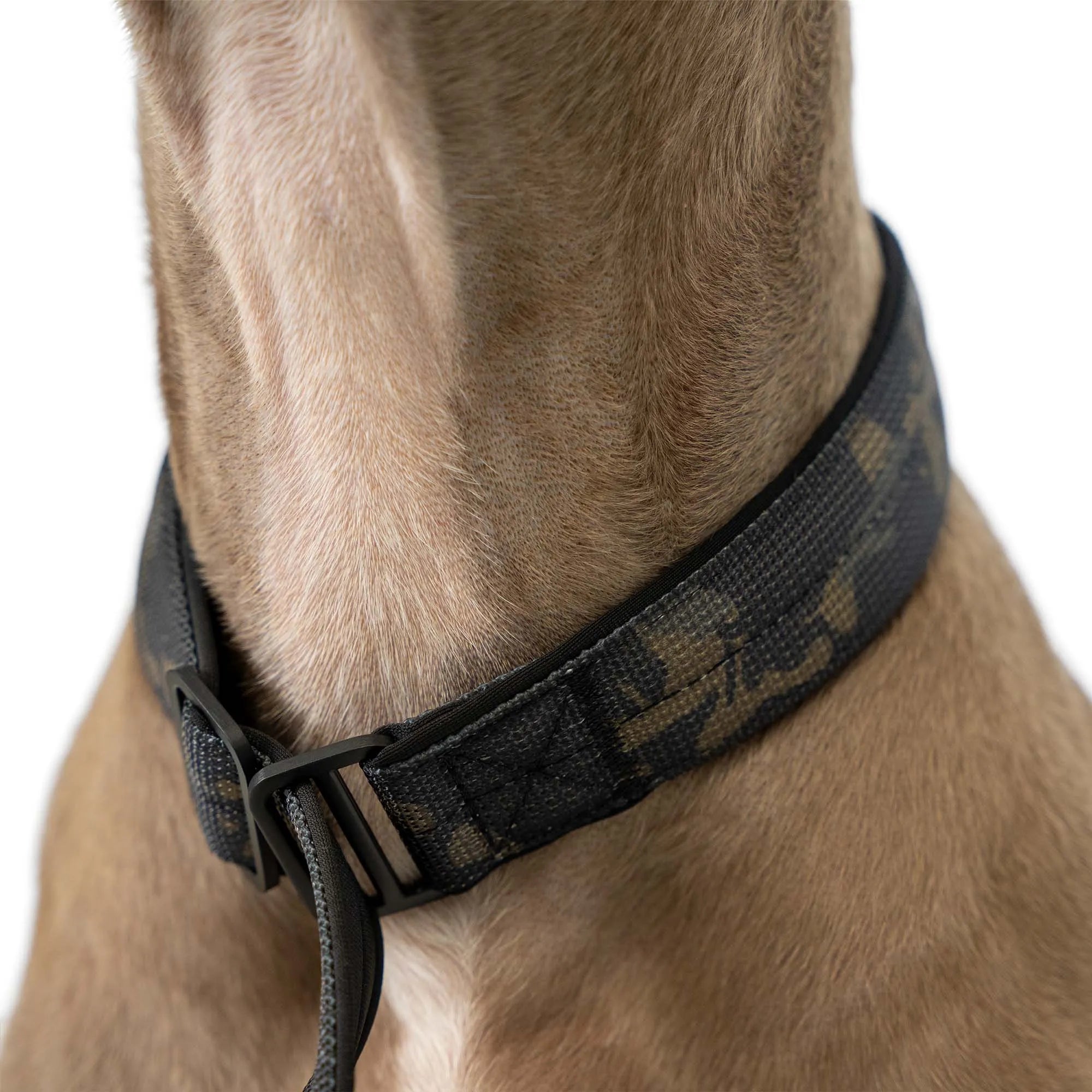 Moxon Retriever Leash Classic Edition Camouflage - 1,5m with hand loop - 3cm wide