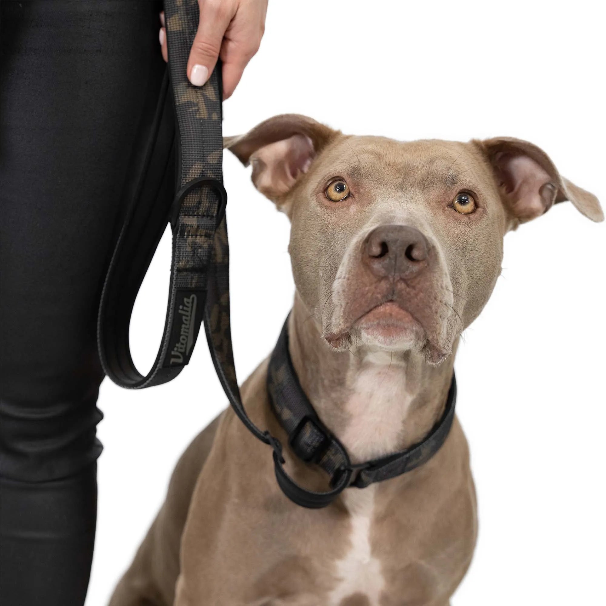 Moxon Retriever Leash Classic Edition Camouflage - 1,5m with hand loop - 3cm wide