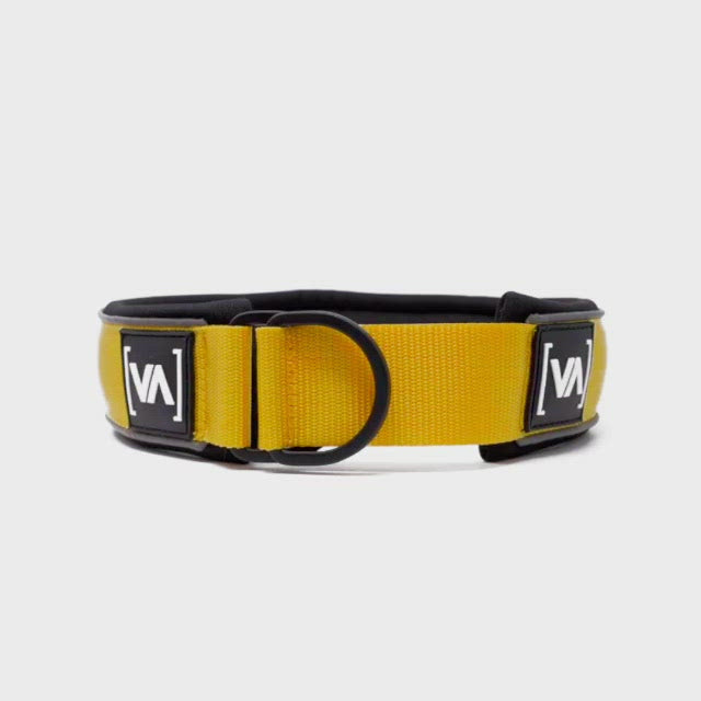Collare per cani leggero a strappo con funzione anti-collasso Giallo