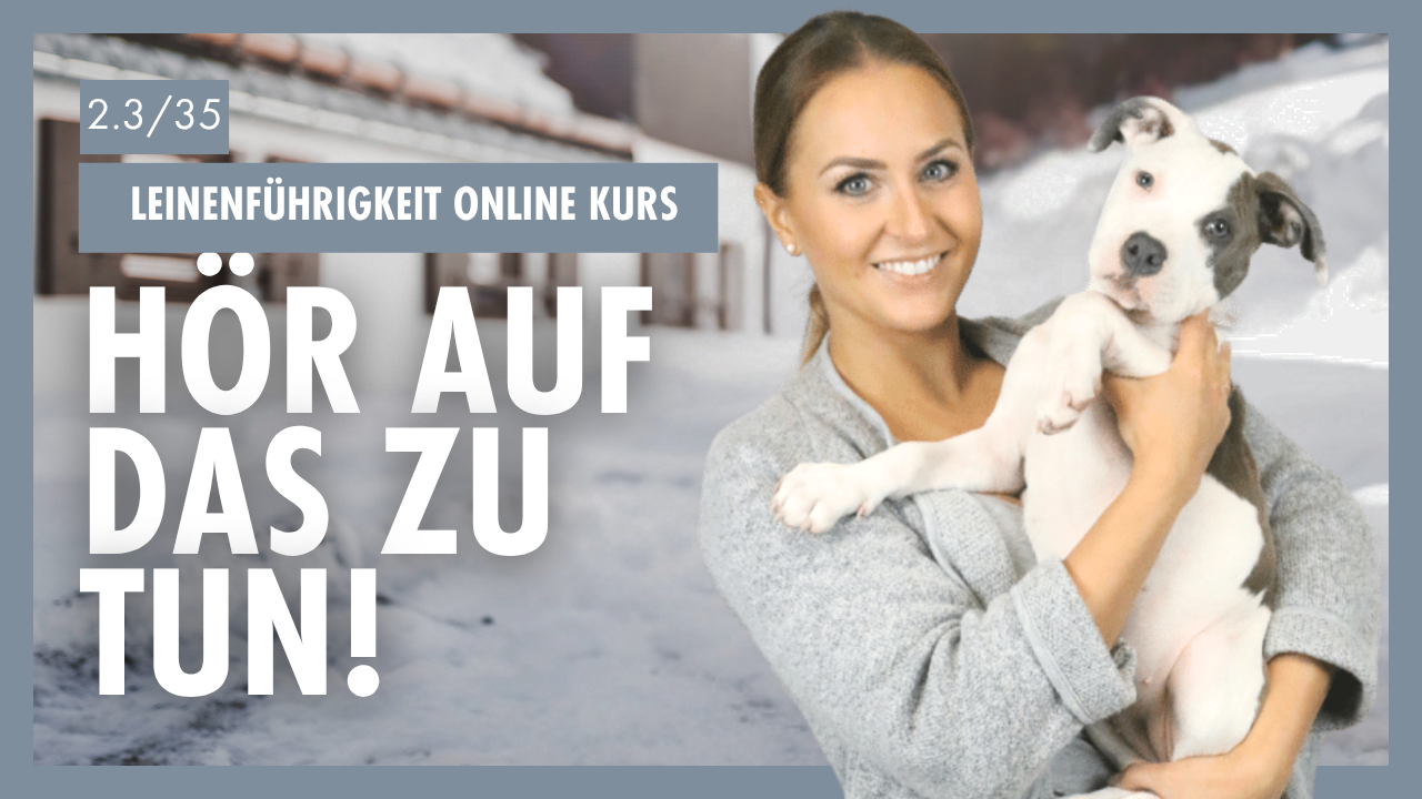 Die Sprache der Hunde verstehen | Klare Kommunikation für Leinenführigkeit [Tag 2/1]