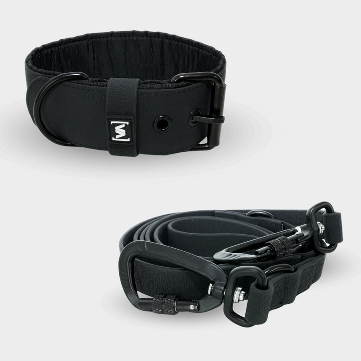 Conjunto Aqua Edition Negro - Collar + Correa para perro ajustable triple de 2,2 m