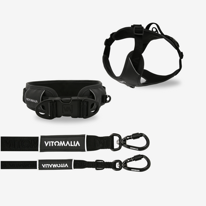 Bundle Outdoor Edition Antracite Set - Collare per cane, Pettorina per cane, Guinzaglio per cane
