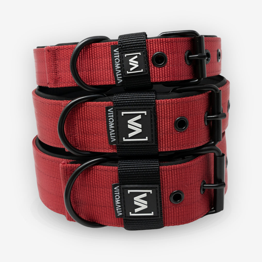 Classic Dog Collar with protruding inner lining - Nero Bordeaux