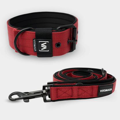 Bundle Classic Nero Edition Bordeaux Set - Collar + 2.2m triple Correa para perro