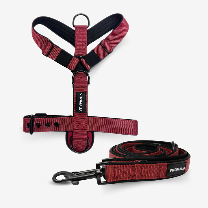 Bundle Classic Edition Bordeaux Set - Y-Harness + 2.2m adjustable Dog Leash