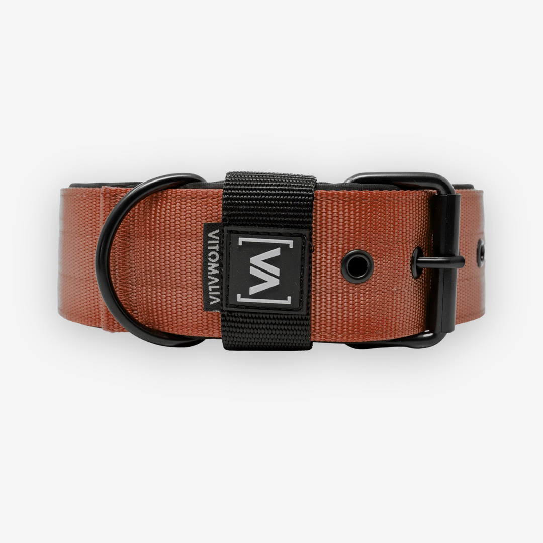 Classic Dog Collar with protruding inner lining - Nero Brown