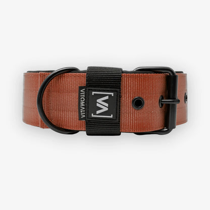 Collier pour chien classique avec doublure saillante - Nero Brown