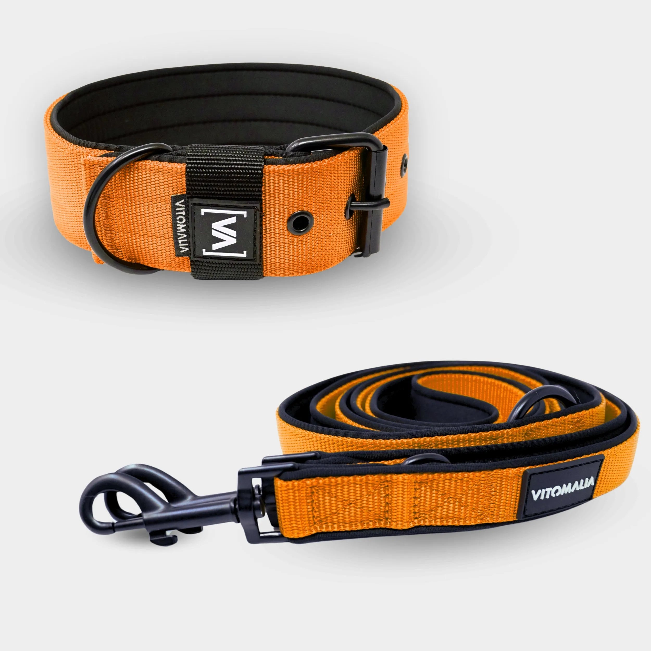 Bundle Classic Nero Edition Orange Set - Collare + Guinzaglio per cane triplo regolabile da 2,2 m Guinzaglio per cane