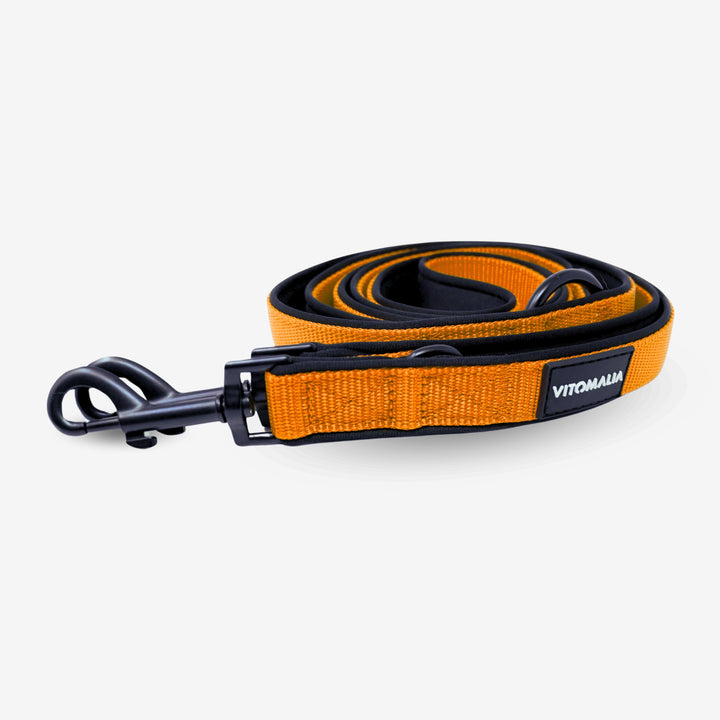 Bundle Classic Nero Edition Orange Set - Collare + Guinzaglio per cane triplo regolabile da 2,2 m Guinzaglio per cane