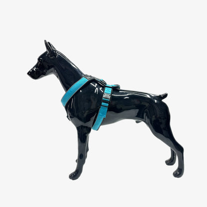 Leichtes Y-Hundegeschirr mit Reflextionsstreifen in Türkis - Vitomalia - Easy Go Edition Hundegeschirr