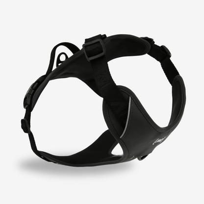 Bundle Outdoor Edition Antracite Set - Collare per cane, Pettorina per cane, Guinzaglio per cane