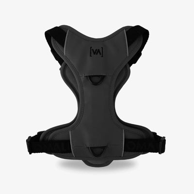 Bundle Outdoor Edition Anthrazit Set - Hundehalsband, Hundegeschirr, Hundeleine